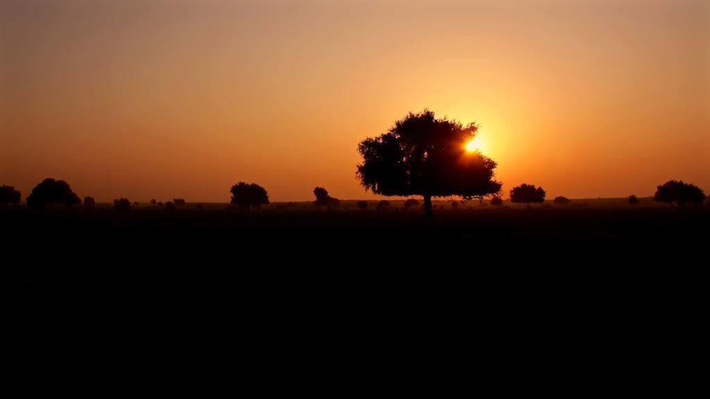 Damodra Desert Camp Jaisalmer Buitenkant foto