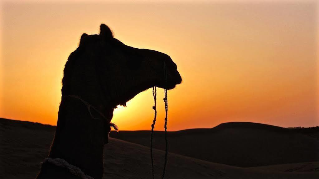 Damodra Desert Camp Jaisalmer Buitenkant foto